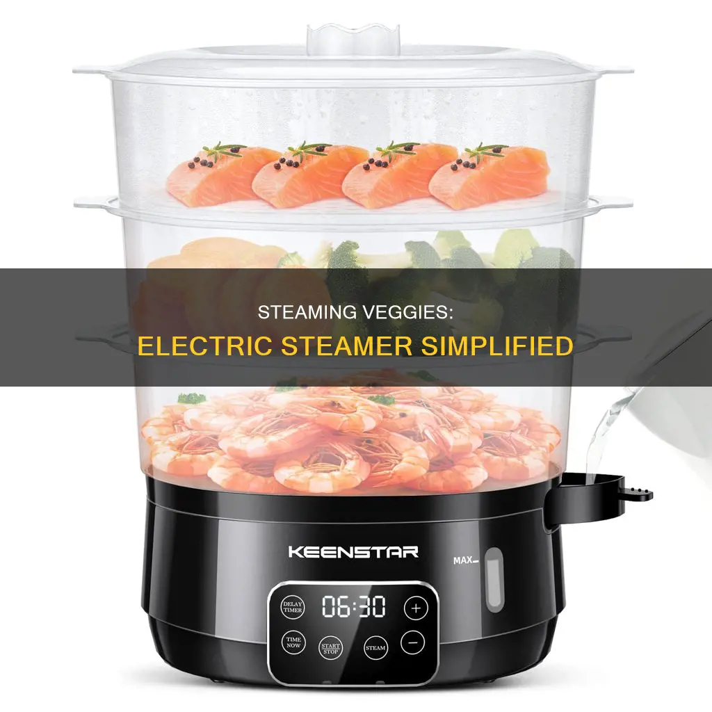 how to steam vegetables in electric steamer