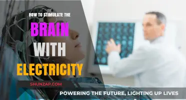 Stimulating the Brain: Electric Therapy and Its Benefits