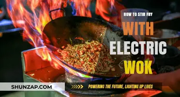 Stir-Frying Simplified: Electric Wok Techniques