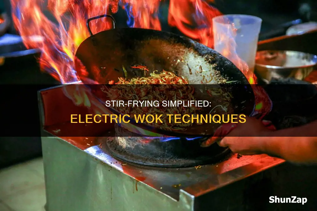 how to stir fry with electric wok