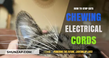 Prevent Cats from Chewing Electrical Cords: Safe Solutions