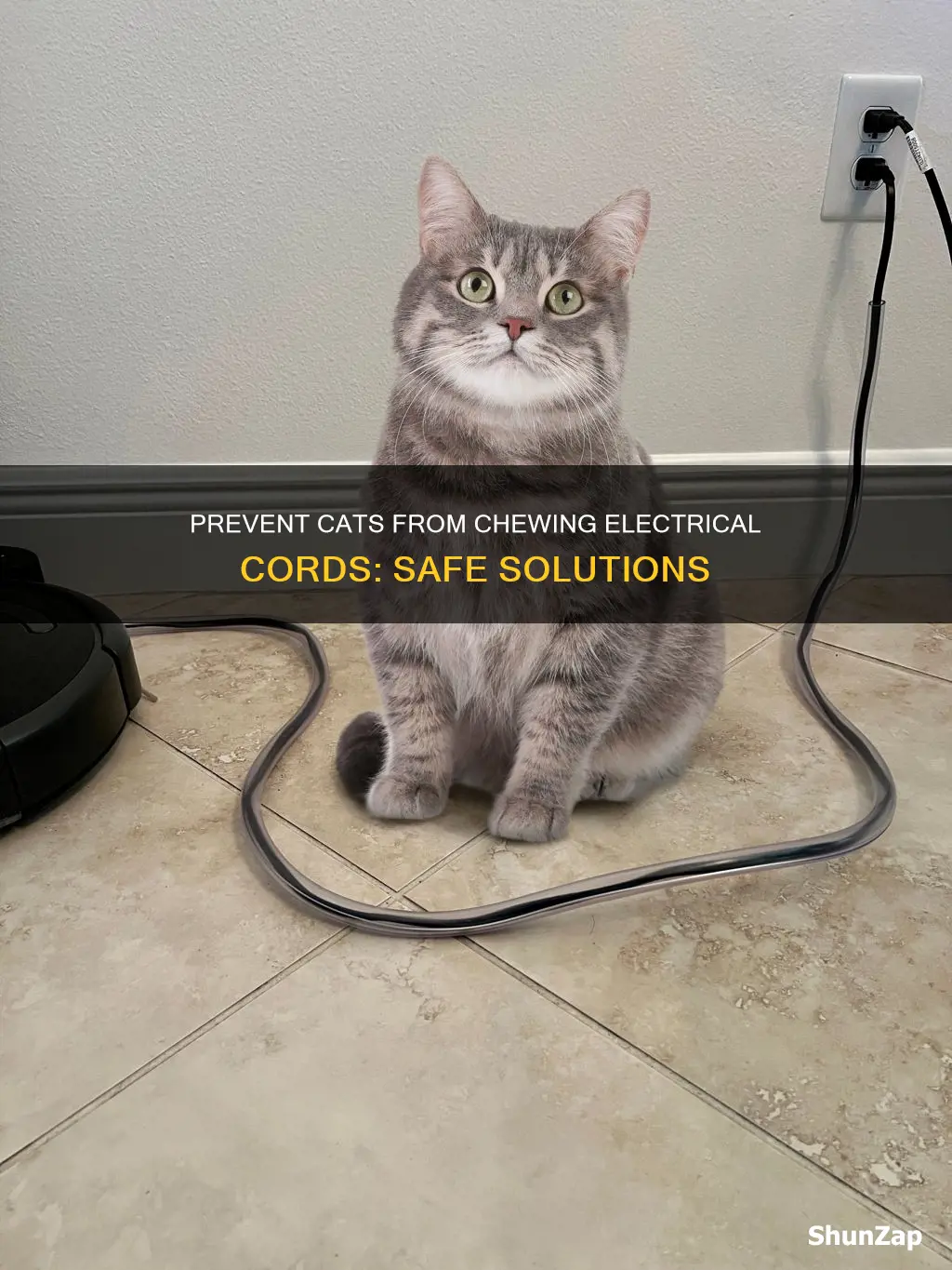 how to stop cats chewing electrical cords