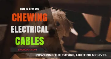 Preventing Electrical Cable Chewing: A Dog Owner's Guide