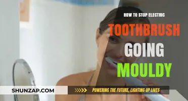 Preventing Mould: Electric Toothbrush Care Tips