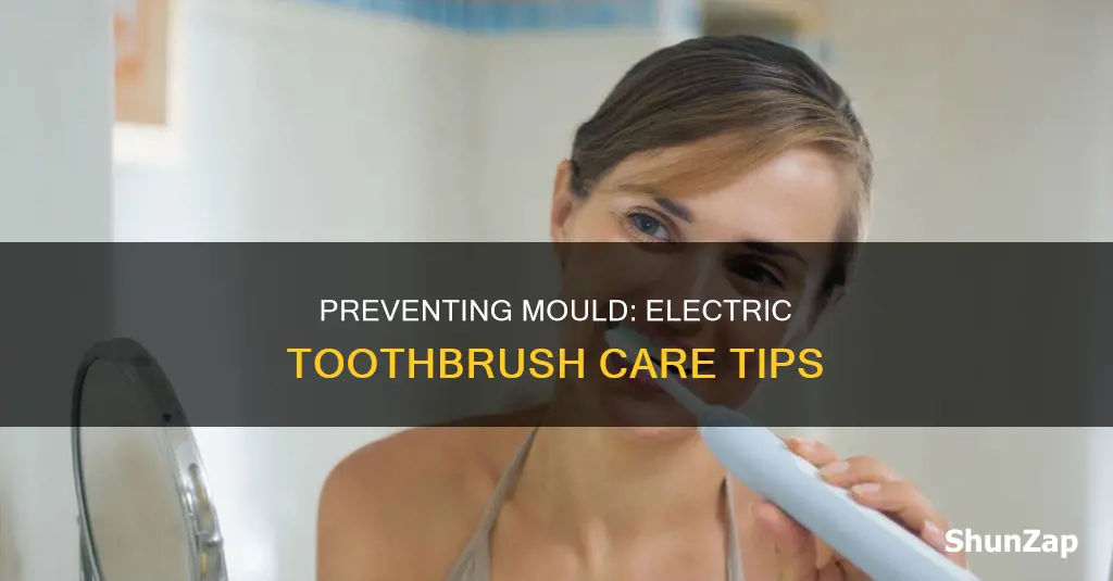 how to stop electric toothbrush going mouldy