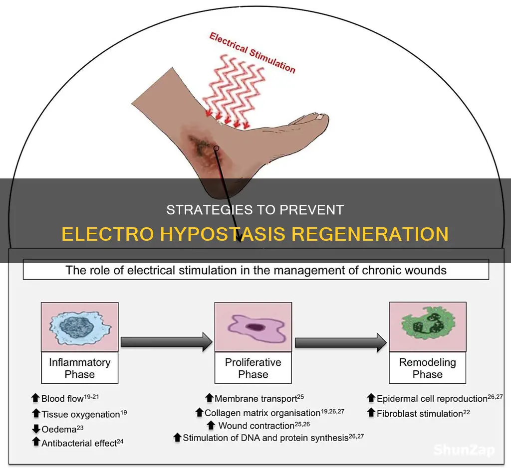 how to stop electro hypostasis from healing