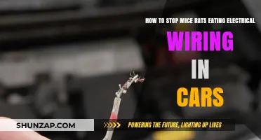 Prevent Rodent Damage: Protect Your Car's Wiring from Mice and Rats