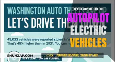 Securing Autopilot: Preventing the Theft of Electric Vehicles