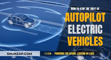 Autopilot EV Theft: Preventing Unauthorised Access