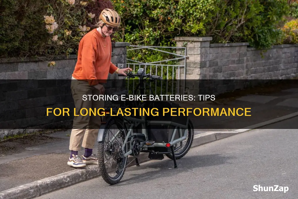 how to store an electric bike battery