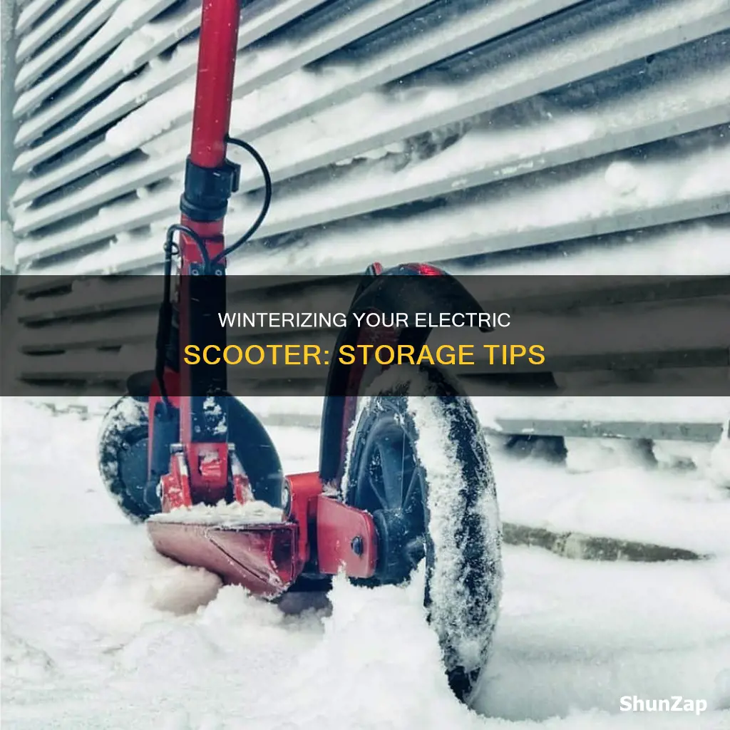 how to store electric scooter for winter