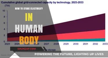 Storing Electricity in the Human Body: Is It Possible?