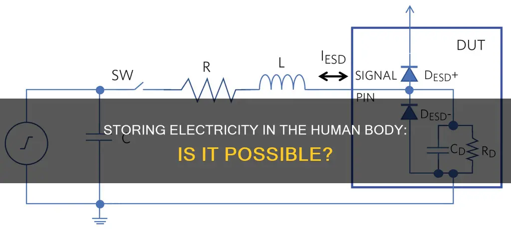 how to store electricity in human body