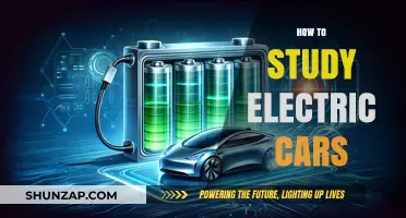 Mastering Electric Vehicles: A Comprehensive Guide to Studying EV Technology