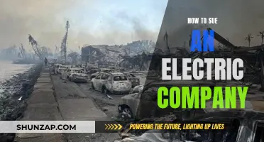 Suing an Electric Company: Your Rights and Steps to Take