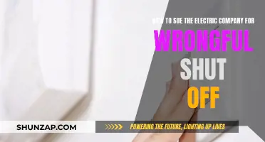 Sue the Electric Company: Wrongful Shut-Off, What to Do?
