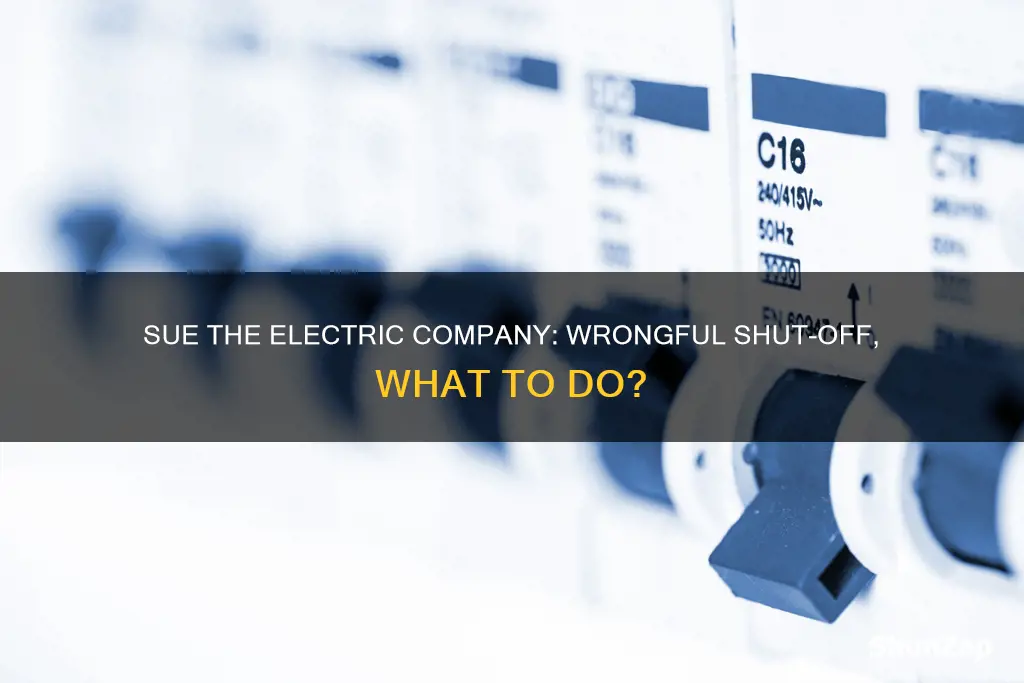 how to sue the electric company for wrongful shut off