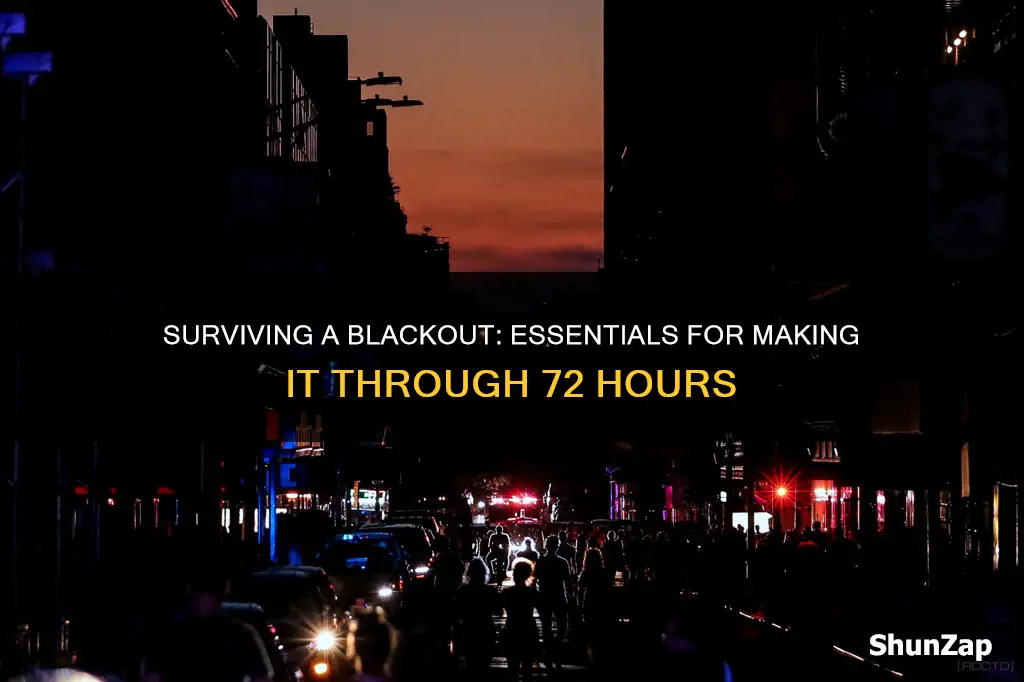 how to survive 3 days without electricity