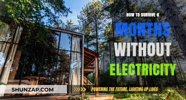 Surviving Without Electricity: 6-Month Guide to Basics