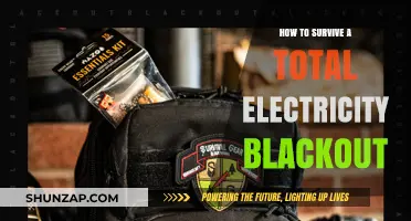 Surviving an Electricity Blackout: Tips for Staying Safe