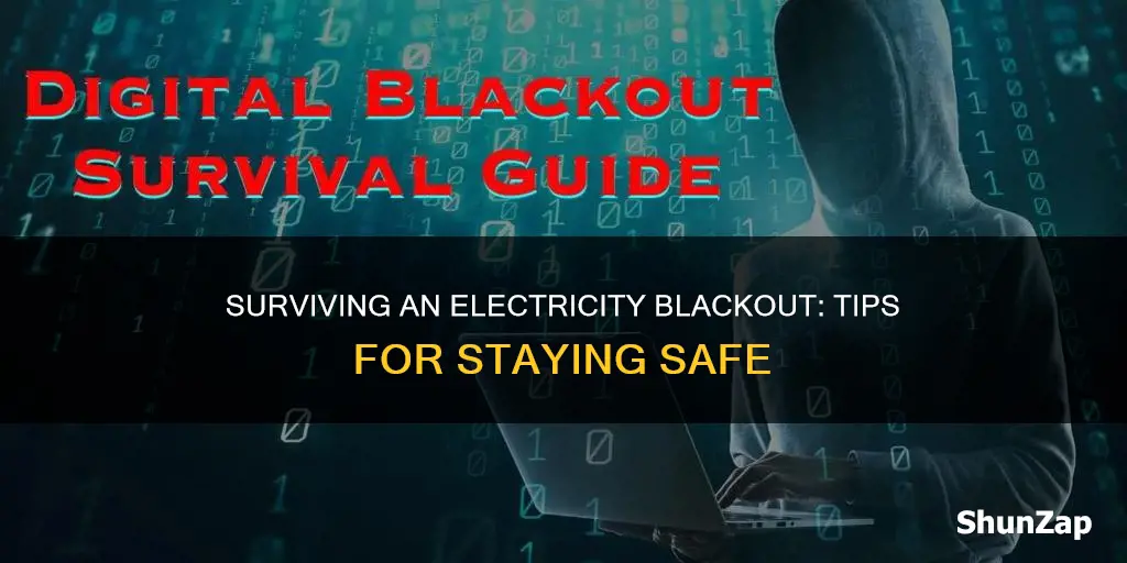 how to survive a total electricity blackout