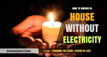 Surviving a Power Outage: Tips for Living Without Electricity
