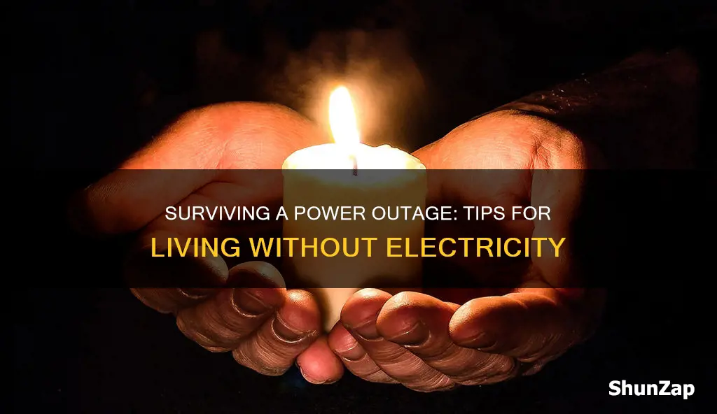 how to survive in house without electricity