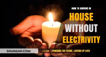 Surviving a Blackout: Tips for Living Without Electricity