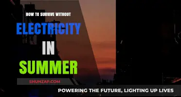 Surviving Summer Blackouts: Tips to Stay Cool