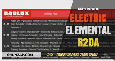 Mastering the Switch to Electric in R2DA