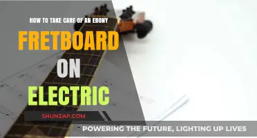 Essential Tips for Maintaining Your Ebony Electric Guitar Fretboard