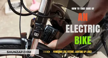 Essential Tips for Maintaining and Caring for Your Electric Bike