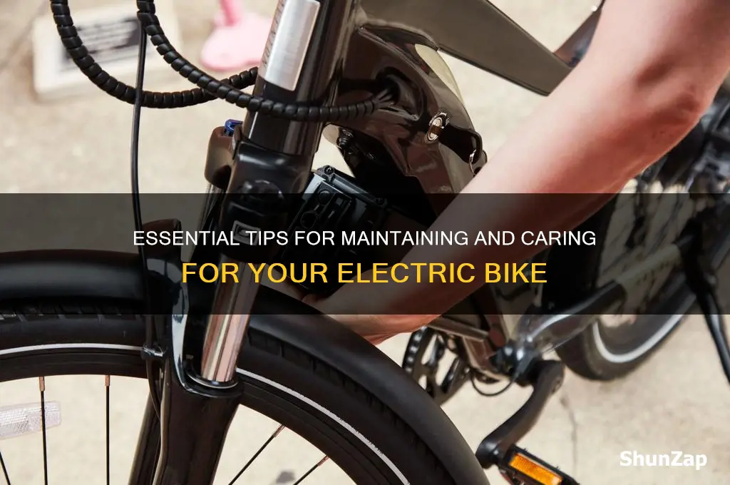 how to take care of an electric bike