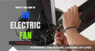 Essential Tips for Maintaining and Extending Your Electric Fan's Lifespan