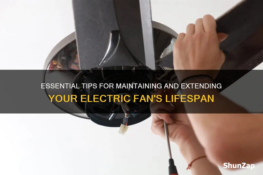 how to take care of an electric fan