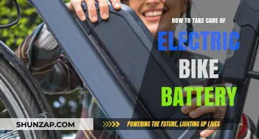 Essential Tips for Maintaining Your Electric Bike Battery's Longevity