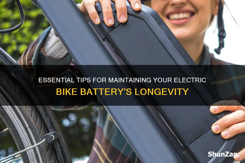 how to take care of electric bike battery