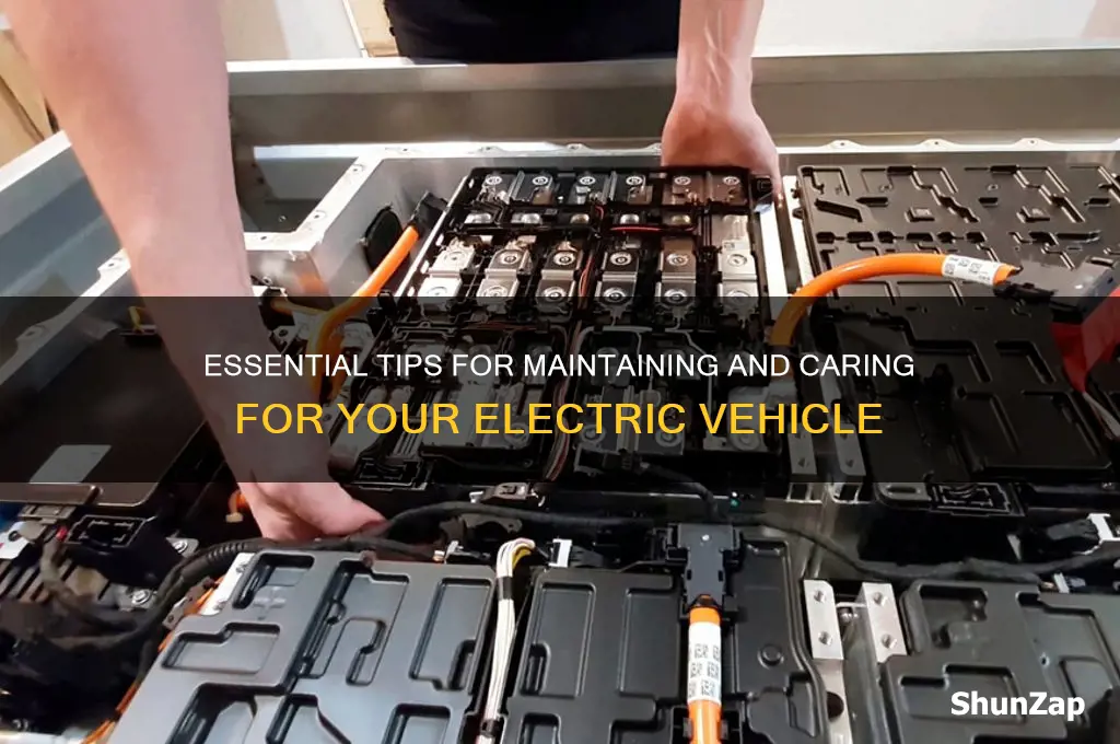 how to take care of electric car