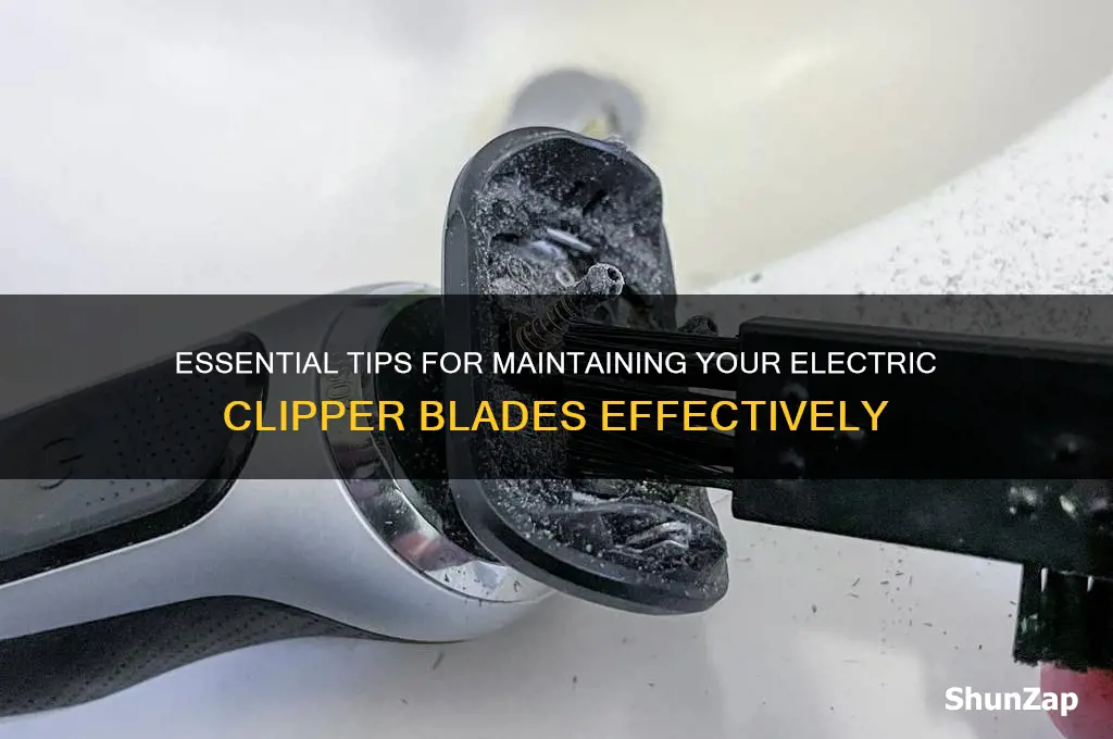 how to take care of electric clipper blades