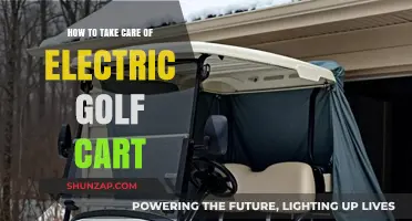 Essential Tips for Maintaining Your Electric Golf Cart's Performance