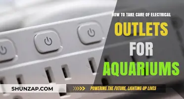 Essential Tips for Maintaining Safe Aquarium Electrical Outlets
