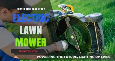 Essential Tips for Maintaining Your Electric Lawn Mower's Performance