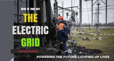 Destroying the Electric Grid: Strategies for Attack and Defense