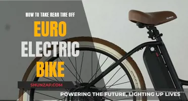 Taking Apart a Euro Electric Bike: Removing the Rear Tire