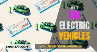 Navigating the Tax Landscape: Electric Vehicles and Their Financial Implications