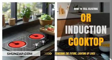 Choosing a Cooktop: Electric or Induction?