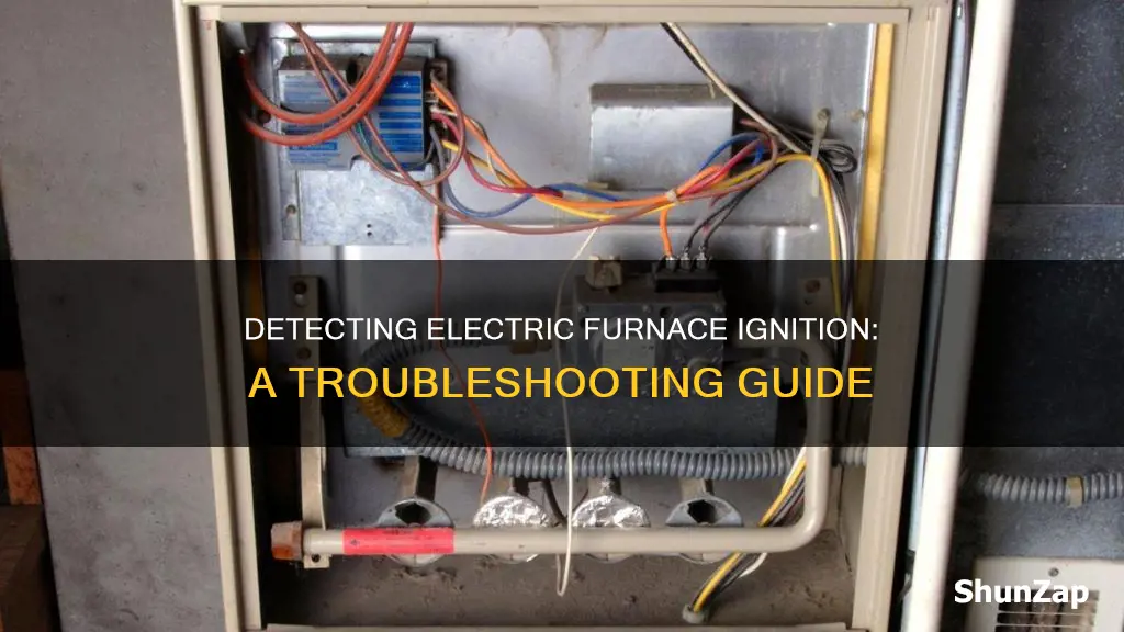 how to tell if electric furnace ignites