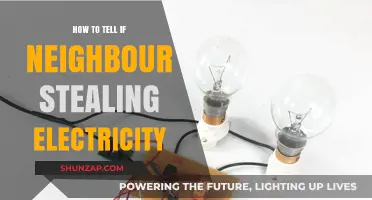 Catching Electricity Thieves: What to Look For