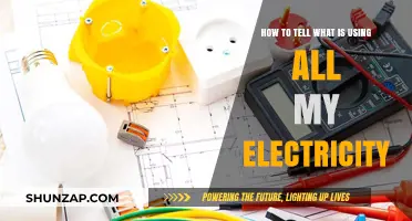 Uncover Hidden Energy Drains: Identify What's Using All Your Electricity
