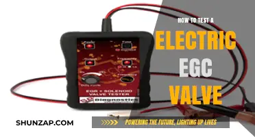 Testing an EGC Valve: Step-by-Step Guide